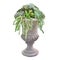 Vintage Style Stoneware Pedestal Planter with Arrangement of Succulent Plants Isolated on White Background