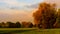 Vintage style water-colored idyllic autumn sunrise over a rural peaceful landscape field with trees and a path