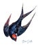 Vintage Style Watercolor Illustration of Barn Swallow