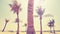Vintage stylized picture of a palm tree trunk.