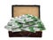 Vintage suitcase full euro banknotes isolated