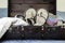 Vintage suitcase open and packed with beach items, travel concept