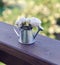 Vintage summer background with small roses in watering pot