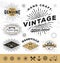 Vintage sunburst logo elements