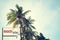 Vintage surf beach signage and coconut palm tree on tropical beach blue sky