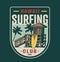 Vintage surfing club badge