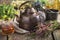 Vintage teapot, cup of herbal tea, honey jar, medicinal herbs bunches on background.