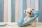 Vintage Teddy Bear with retro telephone on wooden background