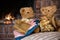 Vintage teddy bears in front of fireplace