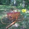 Vintage Tennis Rackets, Vintage Picnic Basket, and Milk Bottle with Daisies