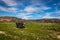 Vintage Threshing Machine