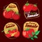 Vintage tomato vector labels, emblems and badges set