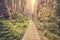 Vintage toned wooden path in Adrspach Teplice rocks.