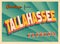 Vintage Touristic Greeting Card From Tallahassee, Florida.