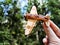Vintage toy wooden airplane with stars on wing in nature. Plane crash, breakdown. Old Soviet glider from USSR of Soviet