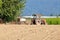 Vintage Tractor Still Working in Field