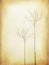 Vintage Tree Silhouette Poster. Aged Vector Template