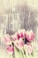 Vintage Tulip Flowers on Wooden Backdrop