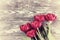 Vintage Tulip Flowers on Wooden Backdrop