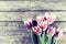 Vintage Tulip Flowers on Wooden Backdrop