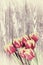 Vintage Tulip Flowers on Wooden Backdrop