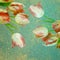 Vintage tulip wallpaper pattern. EPS 10