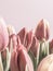 Vintage Tulips