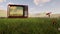 Vintage TV set sitting in the summer middle of the field of grass and flowers