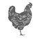 Vintage typographic chicken butcher cuts diagram Vector