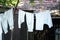 Vintage underpants drying in a sunny garden