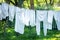 Vintage underwear drying in a sunny garden