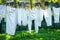 Vintage underwear drying in a sunny garden