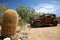 Vintage USA car outdoors with cactus