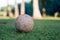 vintage used soccer ball lying on the grass in park, in the shadow. Trees in the background are in the sun, Rio de Janeiro.