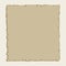 Vintage vector brown parchment background
