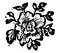Vintage Vector Drawing or Engraving of Grunge Antique Floral Decoration Design of Flower