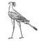 Vintage vector engraving of a single secretary bird