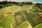 Vintage view hills of Tuscany with vineyard