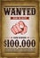 Vintage Wanted Western Poster