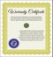 Vintage Warranty Certificate template. Retro design.  With complex linear background.  Detailed.  Yellow color