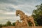 Vintage Warrior Rider and War Horse Ancient Stone carving Statue Sculpture at Konark Sun Temple