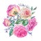 Vintage watercolor pink english roses