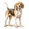 Vintage Watercolored Beagle Full Body Portrait Illustration