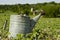 Vintage watering can