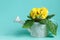 Vintage watering can with yellow primrose on turquoise background