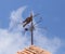 Vintage weathervane on roof