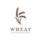 Vintage Wheat branch logo, Wheat bean, Wheat plant logo icon vector template