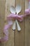 Vintage white spoons, pink ribbon on wooden background