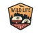 Vintage Wildlife Summer Camp Camping Activities Emblem Badge Illustration