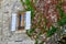 Vintage window on the stone wall with dry and green ivy plant growing around in a mountain village near Lescun, France. Tranquil